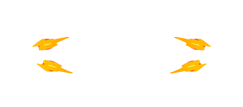 Pakhoki
